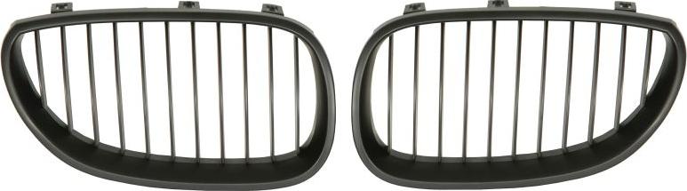 BLIC 6502-07-0066991KP - Решітка радіатора autocars.com.ua