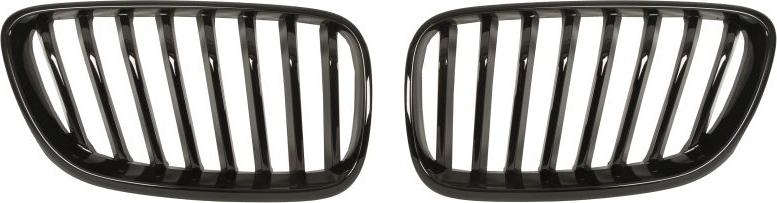 BLIC 6502-07-0069993P - Решітка радіатора autocars.com.ua