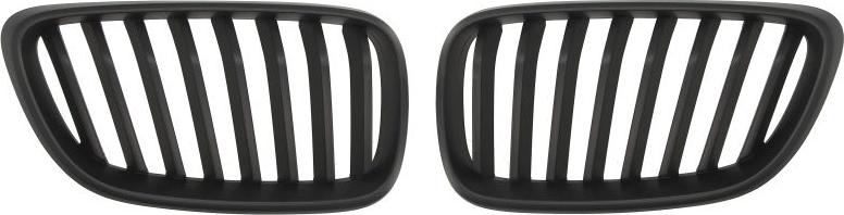 BLIC 6502-07-0069994P - Решітка радіатора autocars.com.ua