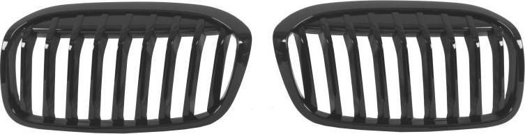 BLIC 6502-07-0071995P - Решітка радіатора autocars.com.ua