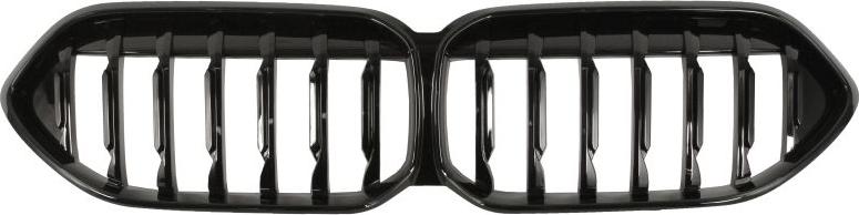 BLIC 6502-07-0073990P - Решітка радіатора autocars.com.ua