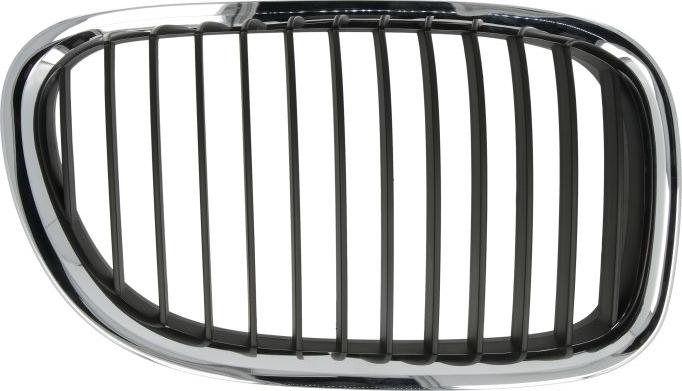 BLIC 6502-07-0077992P - Решітка радіатора autocars.com.ua