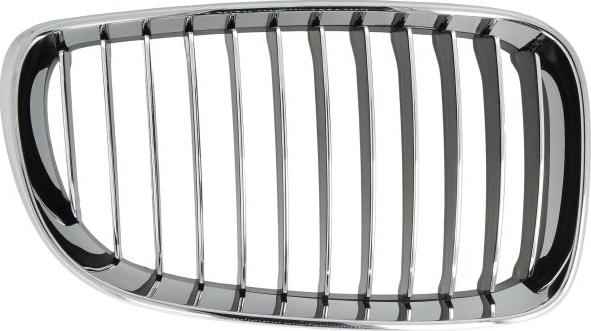 BLIC 6502-07-0085996P - Решітка радіатора autocars.com.ua