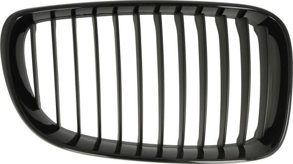 BLIC 6502-07-0085998P - Решітка радіатора autocars.com.ua