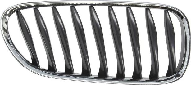 BLIC 6502-07-0089992P - Решітка радіатора autocars.com.ua