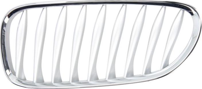 BLIC 6502-07-0089993P - Решітка радіатора autocars.com.ua