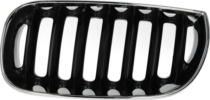 BLIC 6502-07-0093991P - Решітка радіатора autocars.com.ua