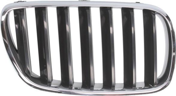 BLIC 6502-07-00939920P - Решітка радіатора autocars.com.ua