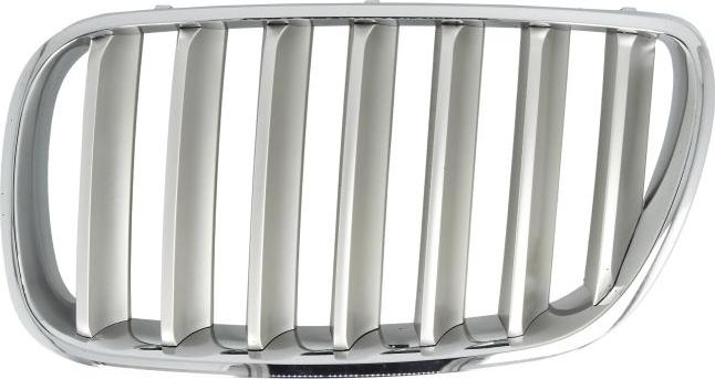 BLIC 6502-07-00939930P - Решітка радіатора autocars.com.ua