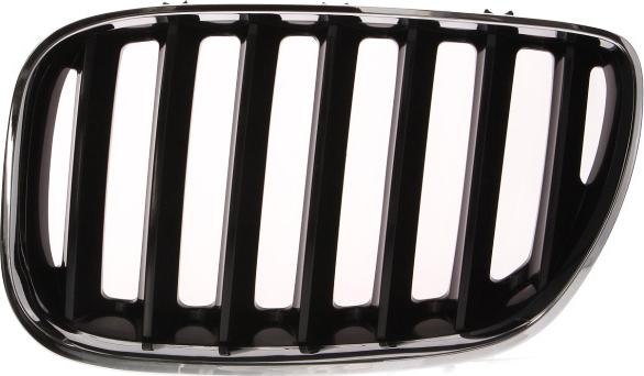 BLIC 6502-07-0095995P - Решітка радіатора autocars.com.ua