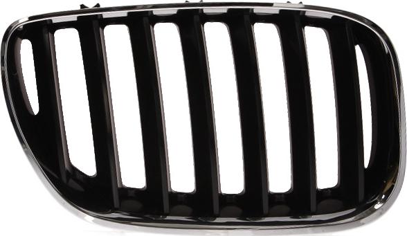 BLIC 6502-07-0095996P - Решітка радіатора autocars.com.ua