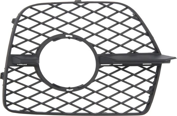 BLIC 6502-07-0096911NP - Решітка вентилятора, буфер autocars.com.ua