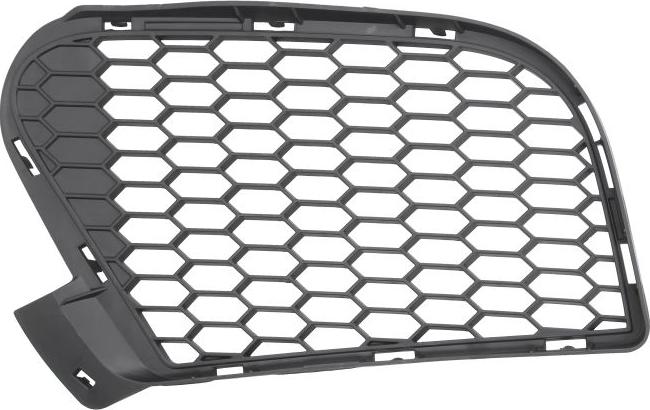 BLIC 6502-07-0096913P - Решітка вентилятора, буфер autocars.com.ua