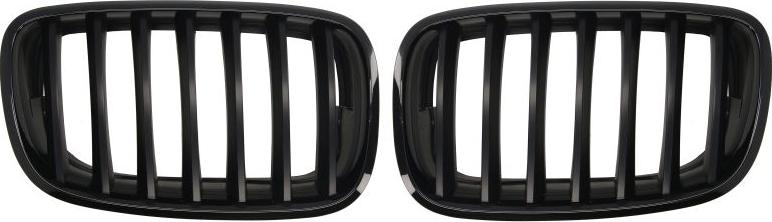 BLIC 6502-07-0096990KP - Решітка радіатора autocars.com.ua