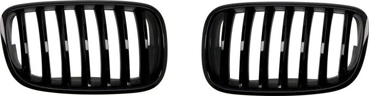 BLIC 6502-07-0096990P - Решітка радіатора autocars.com.ua