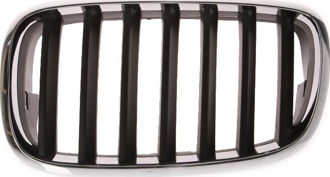 BLIC 6502-07-0096991P - Решітка радіатора autocars.com.ua