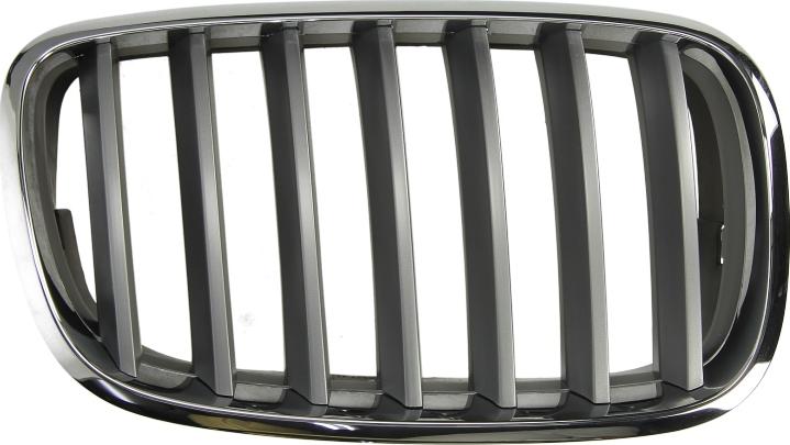 BLIC 6502-07-0096992PP - Решітка радіатора autocars.com.ua