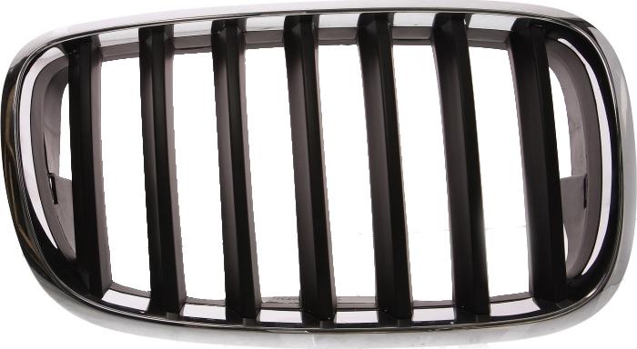 BLIC 6502-07-0096992P - Решітка радіатора autocars.com.ua