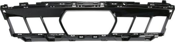 BLIC 6502-07-0098910P - Решітка вентилятора, буфер autocars.com.ua