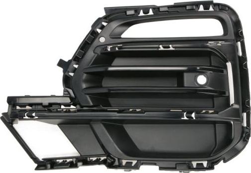 BLIC 6502-07-0098911MP - Решітка вентилятора, буфер autocars.com.ua