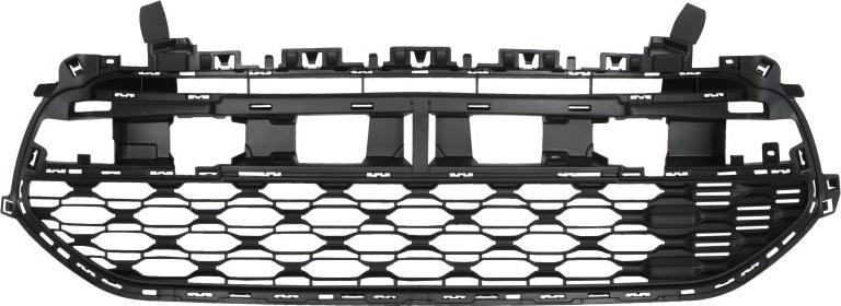 BLIC 6502-07-0538995Q - Решітка радіатора autocars.com.ua