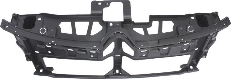 BLIC 6502-07-0538996P - Решітка радіатора autocars.com.ua