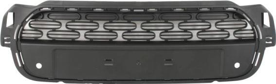 BLIC 6502-07-0544991P - Решітка радіатора autocars.com.ua