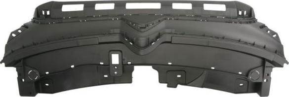 BLIC 6502-07-0544992P - Решітка радіатора autocars.com.ua