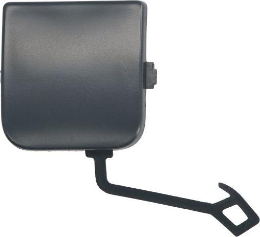 BLIC 6502-07-0559971P - Покриття буфера, причіпне обладнання. autocars.com.ua