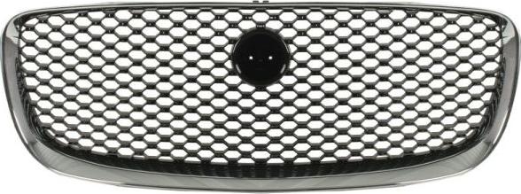 BLIC 6502-07-0599990P - Решітка радіатора autocars.com.ua