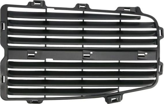 BLIC 6502-07-0925911P - Решітка вентилятора, буфер autocars.com.ua