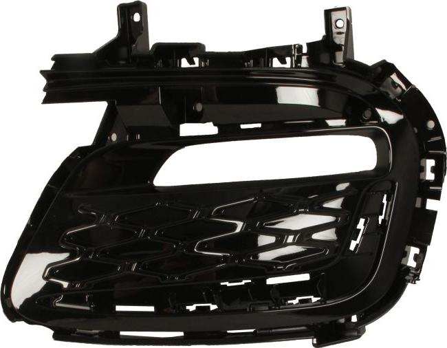 BLIC 6502-07-0945912P - Решітка вентилятора, буфер autocars.com.ua