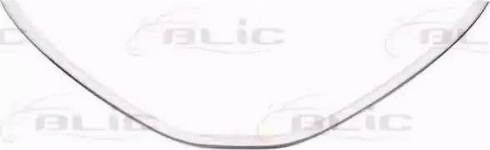 BLIC 6502-07-1303993P - Облицювання / захисна накладка, облицювання радіатора autocars.com.ua