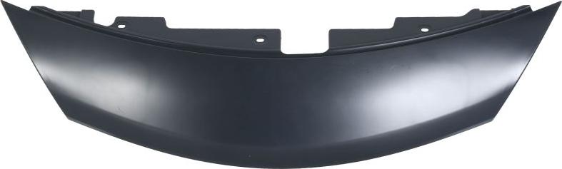 BLIC 6502-07-1638210P - Насадка, решітка радіатора autocars.com.ua