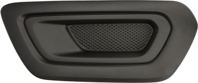 BLIC 6502-07-2517991P - Решітка вентилятора, буфер autocars.com.ua