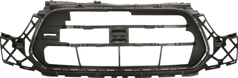 BLIC 6502-07-2518995P - Решітка радіатора autocars.com.ua