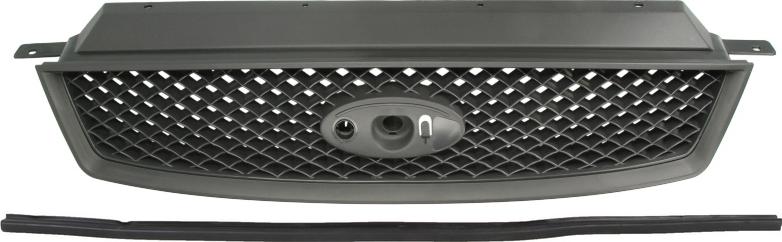 BLIC 6502-07-2534990P - Решітка радіатора autocars.com.ua