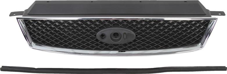 BLIC 6502-07-2534991P - Решітка радіатора autocars.com.ua