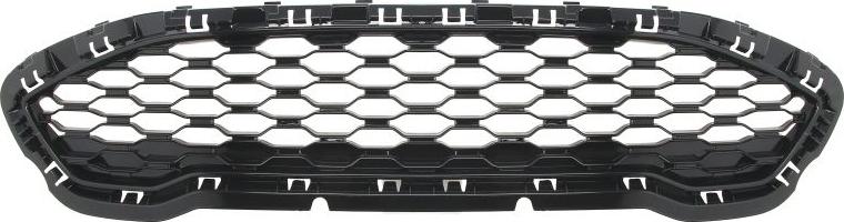 BLIC 6502-07-2566999P - Решітка радіатора autocars.com.ua