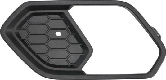 BLIC 6502-07-2579983P - Решітка вентилятора, буфер autocars.com.ua