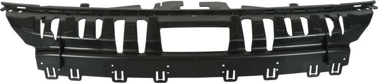 BLIC 6502-07-2596999P - Облицювання передка autocars.com.ua