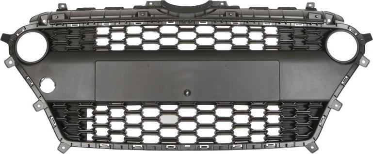 BLIC 6502-07-3121991P - Решітка вентилятора, буфер autocars.com.ua