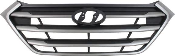 BLIC 6502-07-3177995P - Решітка радіатора autocars.com.ua