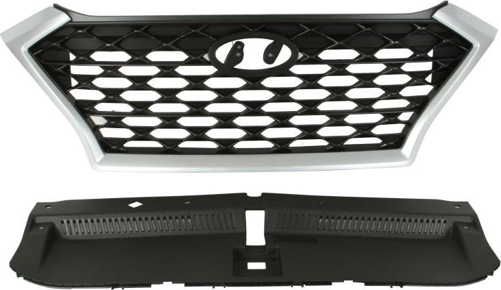 BLIC 6502-07-3178990P - Решітка радіатора autocars.com.ua