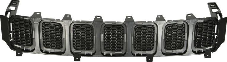 BLIC 6502-07-3217990P - Решітка радіатора autocars.com.ua