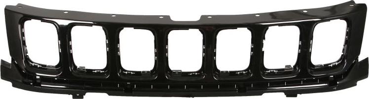 BLIC 6502-07-3217993P - Решітка радіатора autocars.com.ua