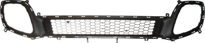 BLIC 6502-07-3266910P - Решітка вентилятора, буфер autocars.com.ua