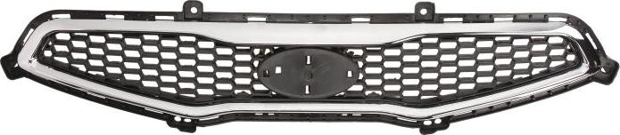 BLIC 6502-07-3266990P - Решітка радіатора autocars.com.ua