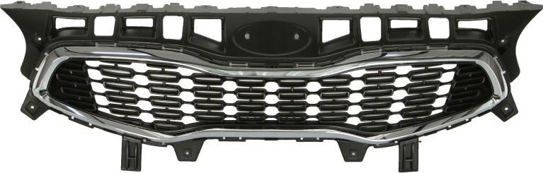 BLIC 6502-07-3268990P - Решітка радіатора autocars.com.ua