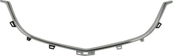 BLIC 6502-07-3495992P - Облицювання / захисна накладка, облицювання радіатора autocars.com.ua